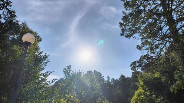 太陽 太陽の写真
