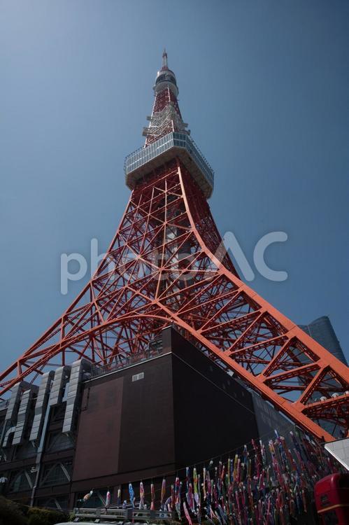 地上から見上げる東京タワ－　　東京　日本　 東京タワ－,東京,日本の写真素材