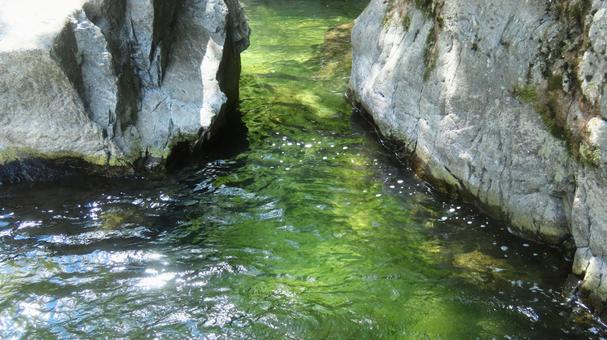 水面 水面 渓流,水,水面の写真素材