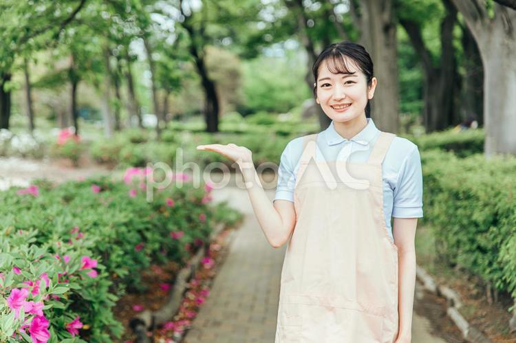 医療・介護・福祉系の女性スタッフ 介護士,ホームヘルパー,看護師の写真素材