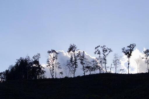 山と木と空 山と木と空の写真