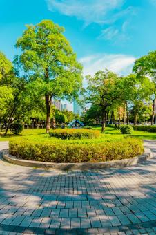 【台湾】台中の街並み2025 【台湾】台中の街並み2025 台中,街並み,風景の写真素材