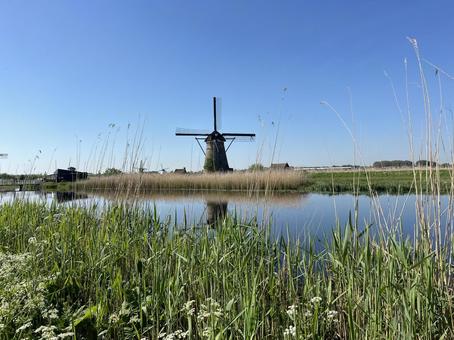 キンデルダイク＝エルスハウトの風車網 キンデルダイク,風車,オランダの写真素材