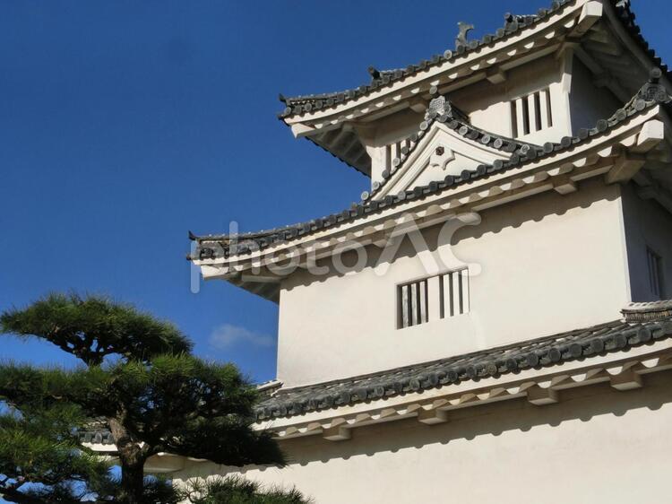  丸亀城（2017年11月撮影） 丸亀,丸亀城,丸亀市の写真素材