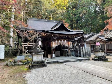 桜井市の等彌神社の写真