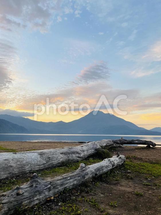 朝焼けに染まる湖畔と流木の風景 朝焼け,湖畔,流木の写真素材