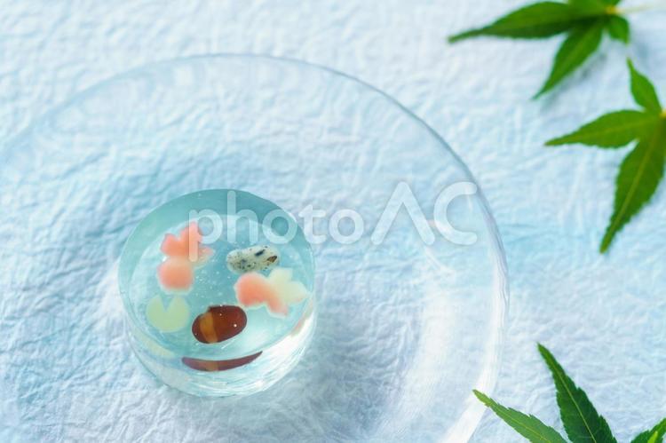 夏の和菓子　金魚のゼリー 和菓子,金魚,ゼリーの写真素材