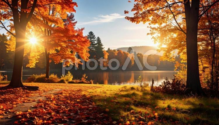 秋のイメージの風景写真 秋,風景,写真の写真素材
