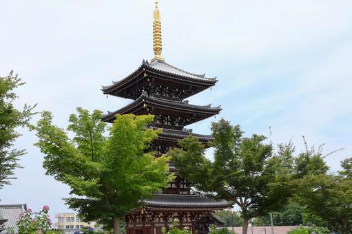 6月中旬の法然寺の五重塔とアジサイの花 6月中旬の法然寺の五重塔とアジサイの花の写真