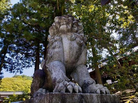 狛犬 狛犬 諏訪大社,神社,歴史の写真素材