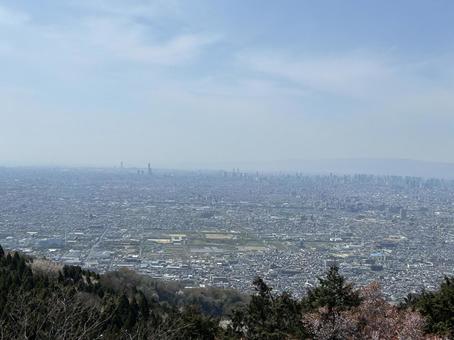 信貴山スカイラインから見る大阪の写真