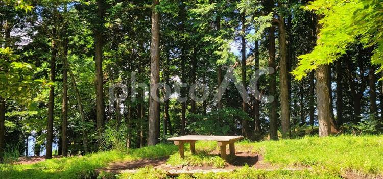 風景　登山　丹沢 風景,登山,ハイキングの写真素材
