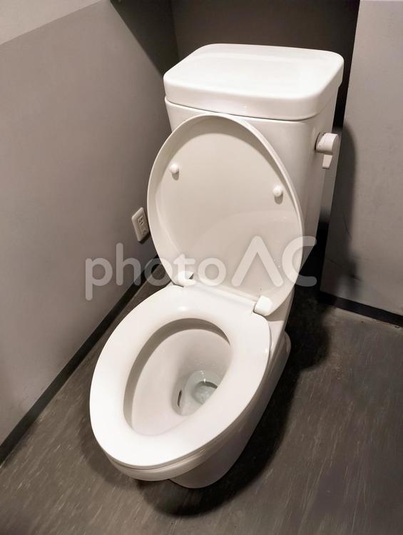 蓋を開いた洋式トイレ　グレーの内装 洋式トイレ,トイレ,便器の写真素材