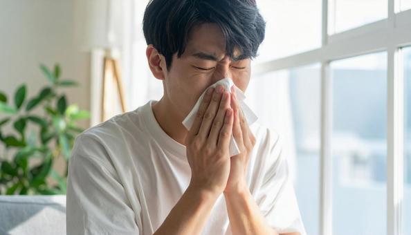 ティッシュで鼻をかむ日本人の若い男性 ティッシュで鼻をかむ日本人の若い男性の写真