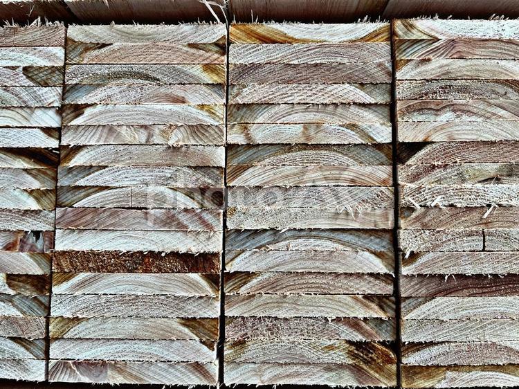 材木の断面 木材,板,木の写真素材