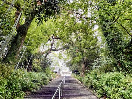 千栗八幡宮 千栗八幡宮,境内,パワースポットの写真素材