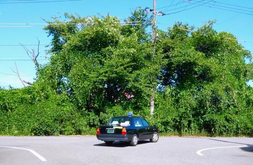 T字路の旧型タクシー T字路の旧型タクシー 車,タクシー,セダンの写真素材