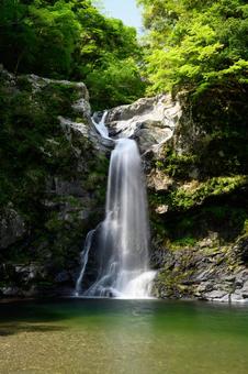 新緑に包まれた滝 新緑に包まれた滝の写真
