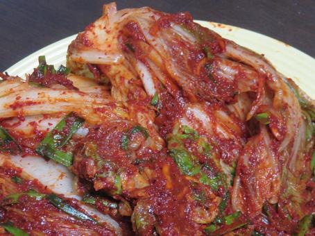 手作りキムチ 自家製キムチ,キムチ,辛いの写真素材