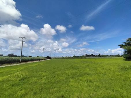 島の夏 島の夏の写真