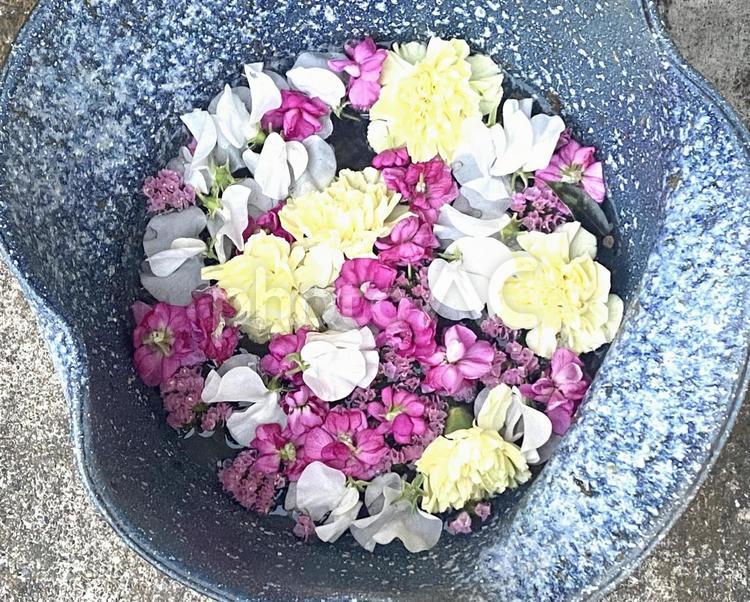 花手水　花　色とりどりの花 花手水,花,色とりどりの花の写真素材