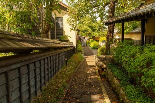 栗の小径の写真