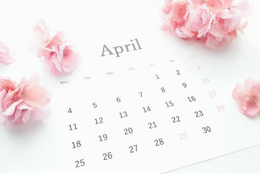 Sakura and April Calendar (2022), kalendarz, kwiecień, wiśniowe drzewo, JPG