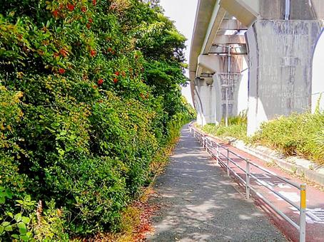 コンクリートの壁と緑の道 風景 コンクリートの壁と緑の道 風景 風景,自然,コンクリートの写真素材