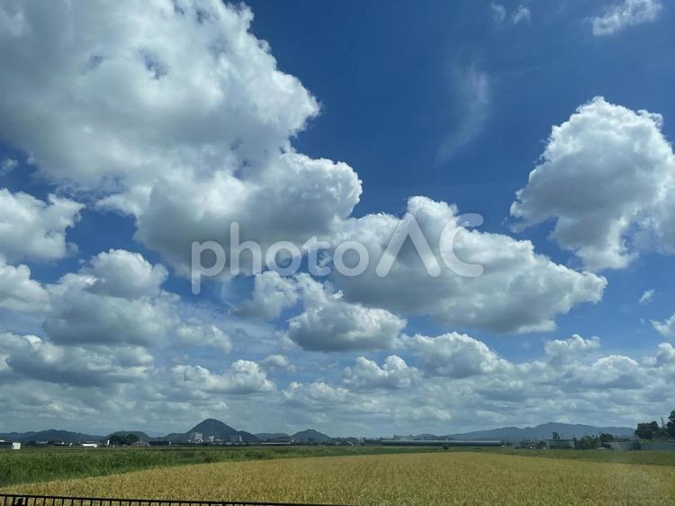 湖東平野 滋賀県,滋賀,湖東平野の写真素材