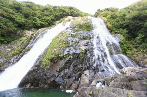 滝 滝の写真