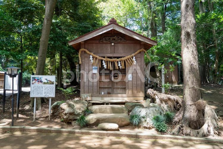 埼玉　氷川女体神社　摂末社 氷川女体神社,氷川女體神社,氷川の写真素材
