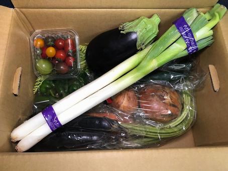 A gift box of summer vegetables, JPG A gift box of summer vegetables, JPG
