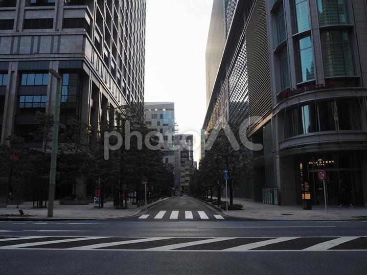 日本橋の街並み（東京都・中央区） 日本橋,街並み,さくら通りの写真素材