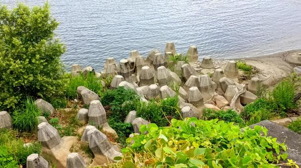 川岸のテトラポット 川岸のテトラポットの写真