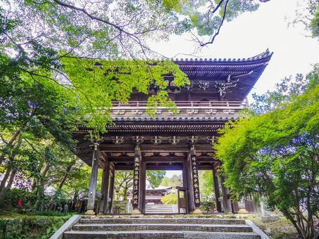 【山口県】下関市・功山寺 功山寺,長府,下関の写真素材
