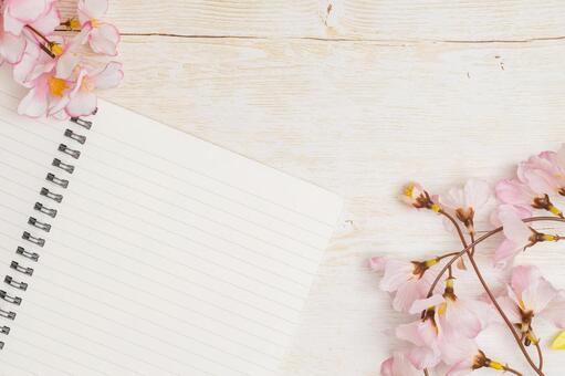 卒業入学イメージ｜桜とノート 入学,入学式,卒業の写真素材