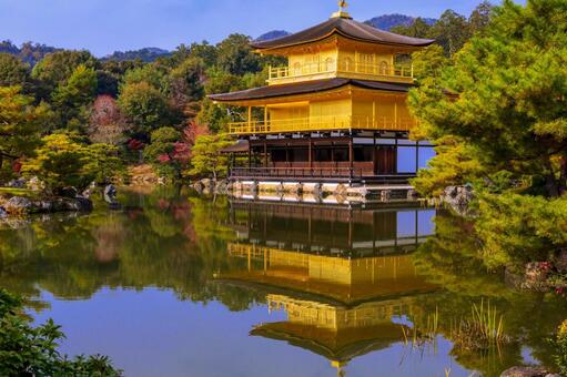 水面の映る黄金の館 金閣寺,鏡湖池,黄金の写真素材