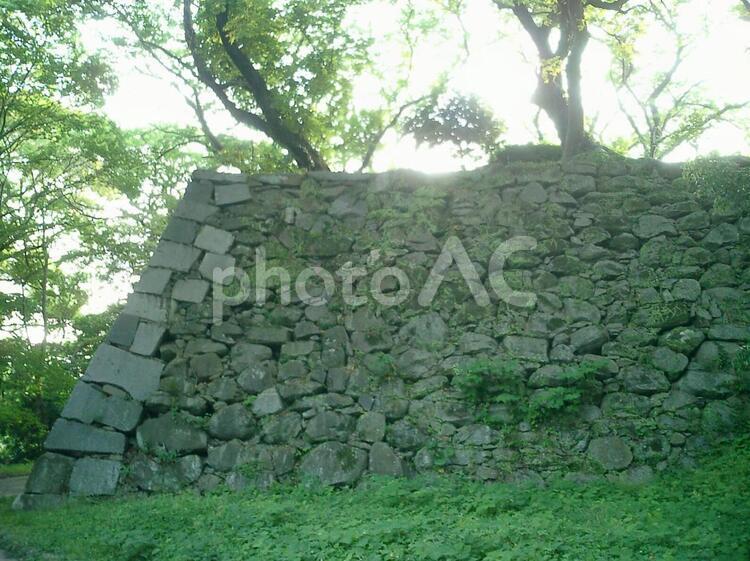福岡城の石垣 福岡城,福岡,福岡県の写真素材