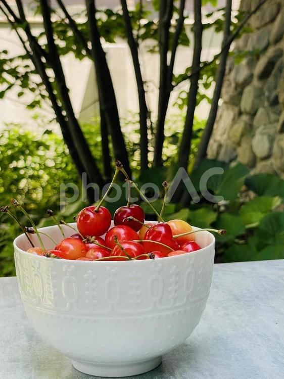 甘酸っぱい初夏の季節｜サクランボの実る頃 さくらんぼ,果実,フルーツの写真素材