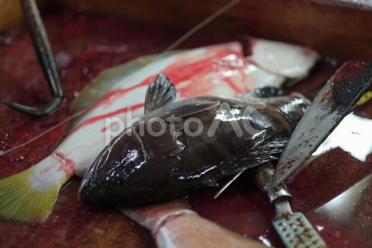 魚をさばく 包丁,料理,まな板の写真素材