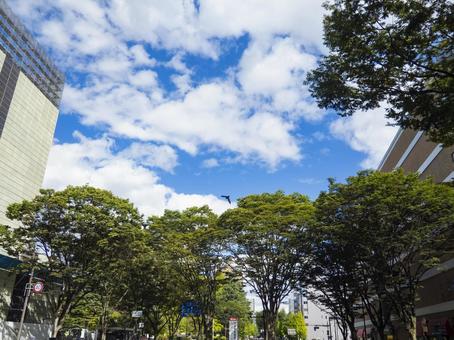 定禅寺通り 風景,屋外,美しいの写真素材
