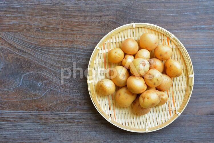 新じゃが　ジャガイモ じゃがいも,ジャガイモ,新じゃがの写真素材