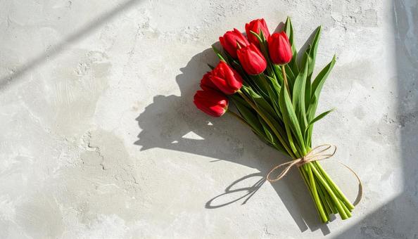 赤いチューリップの花束 赤いチューリップの花束の写真