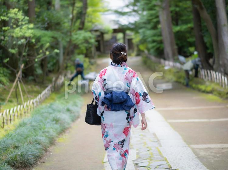 32：観光する浴衣の女性 浴衣,ゆかた,観光の写真素材