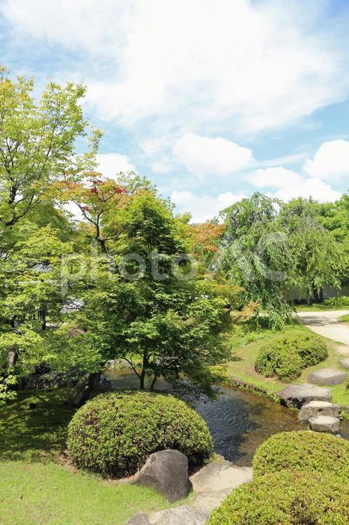 初夏の好古園の風景 初夏,夏,好古園の写真素材