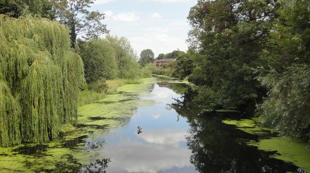 イギリスの川辺 イギリスの川辺 イギリス,川,自然の写真素材