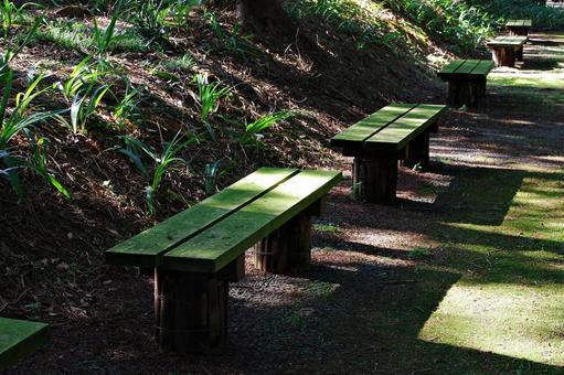 秋の散策路 散策路,散歩道,秋の写真素材