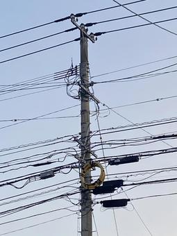 電柱電線7265 電柱電線7265の写真