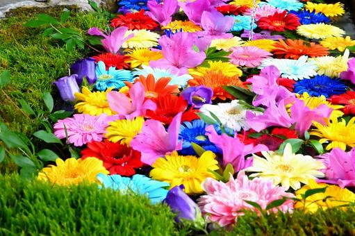 Colorful flower water basin, JPG Colorful flower water basin, JPG