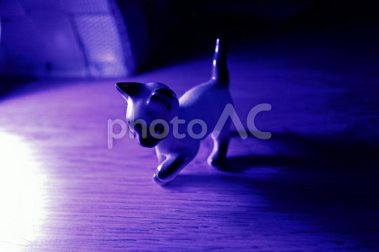 一人歩く猫のイメージ　夜 猫,置物,夜の写真素材
